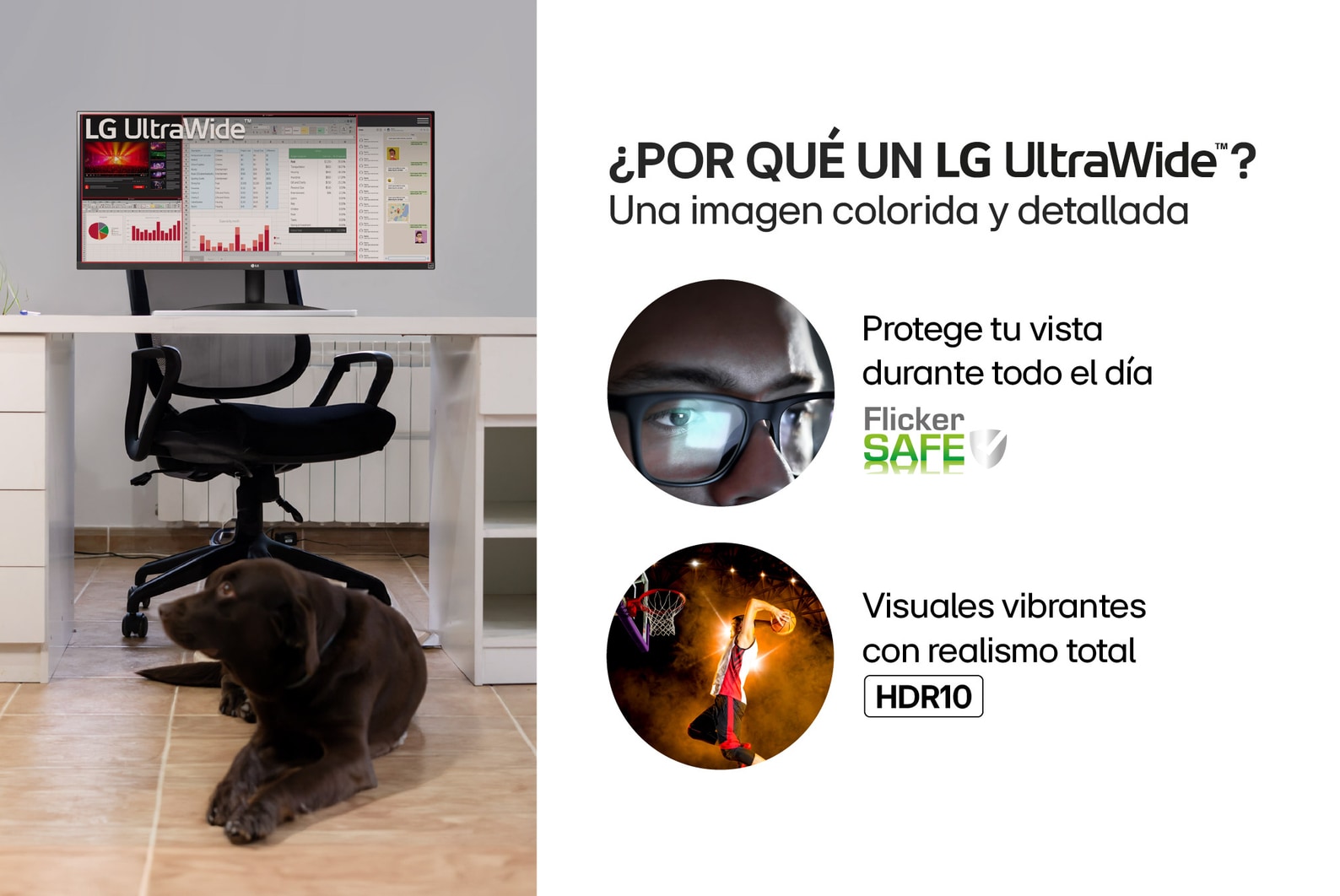 Vista lateral derecha